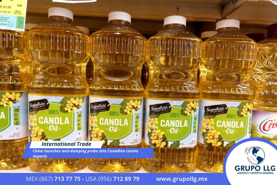 China launches anti-dumping probe into Canadian canola imports
