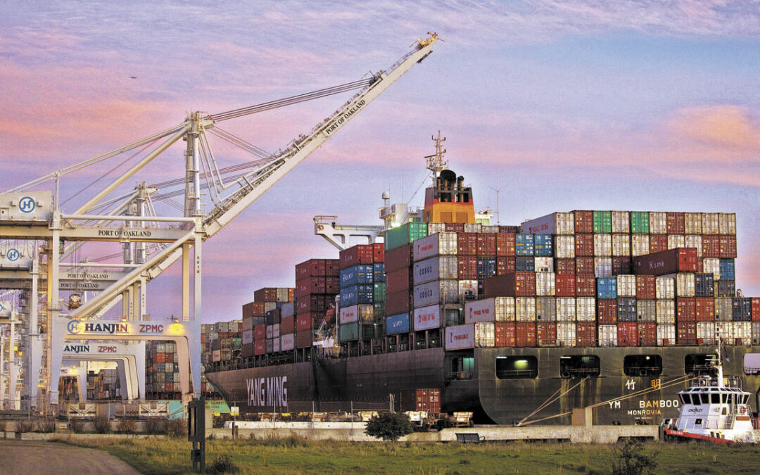 World merchandise trade increased by 5.3% in the first quarter of 2025: OMC