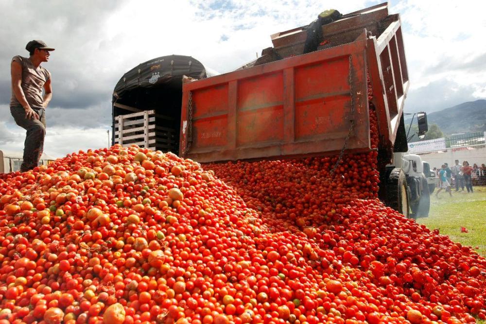 Mexico negotiates in the U.S. to avoid 20.91% tomato quota; seeks agreement by July 15